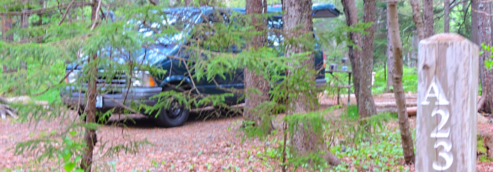 The FoursBlackwoods Campground