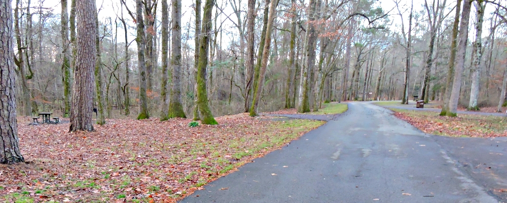 A Way&fnof;arers CampsitesRocky Springs Campground, Natchez Trace Parkway