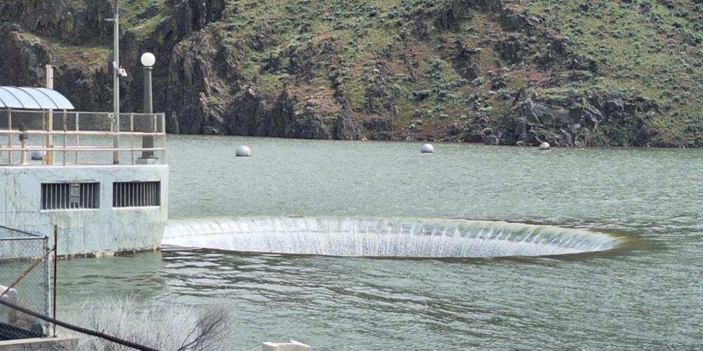 The Campgrounds Rated FourThe Lake Owyhee State Park, Oregon,