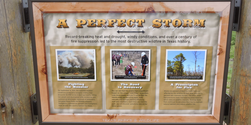 The FoursBastrop Campground