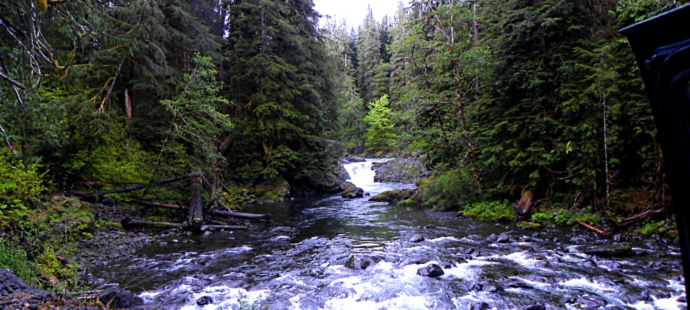 The FoursSol Duc River near Campgound