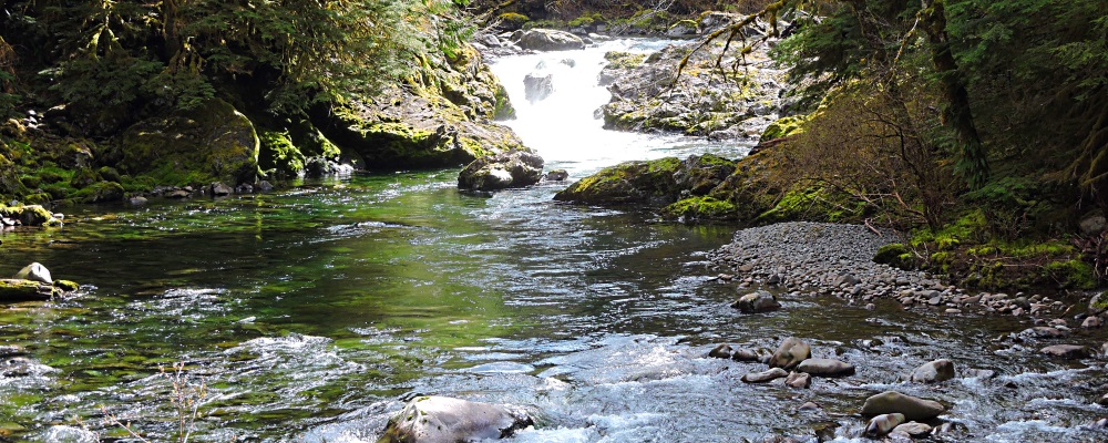 The FoursSol Duc Hot Springs Resort