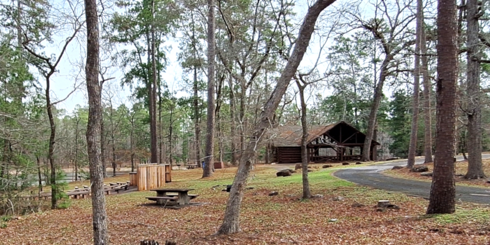 The FivesThe Ratcliff Lake National Forest Campground, Texas,