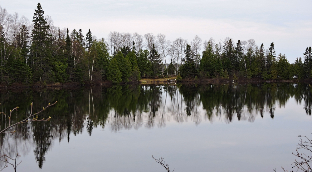 The SixesWhite Pine Lake Campground