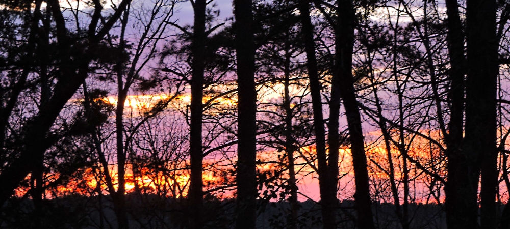 The Sixes, Texas: Atlanta State Park Campground