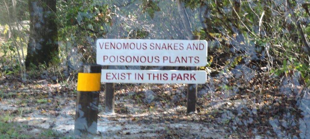 The SixesVillage Creek State Park Campground, Texas