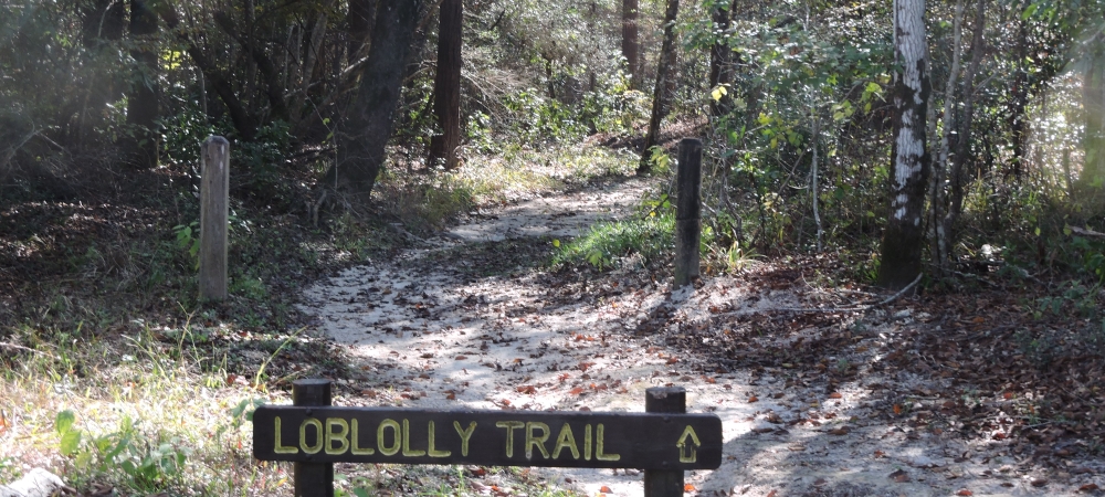 The SixesVillage Creek State Park Campground, Texas