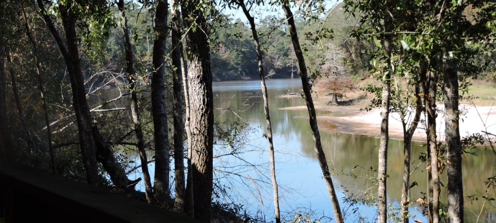 The SixesVillage Creek State Park Campground, Texas