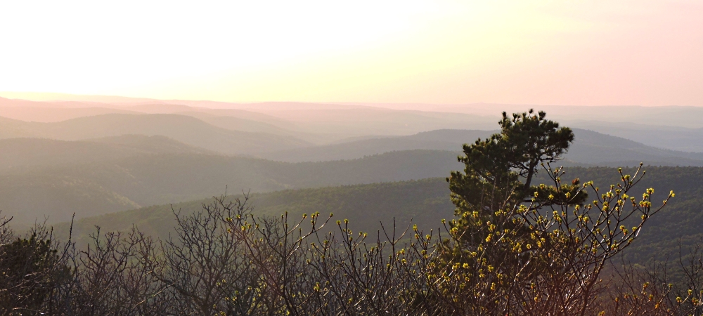 A Way&fnof;arers Campsites