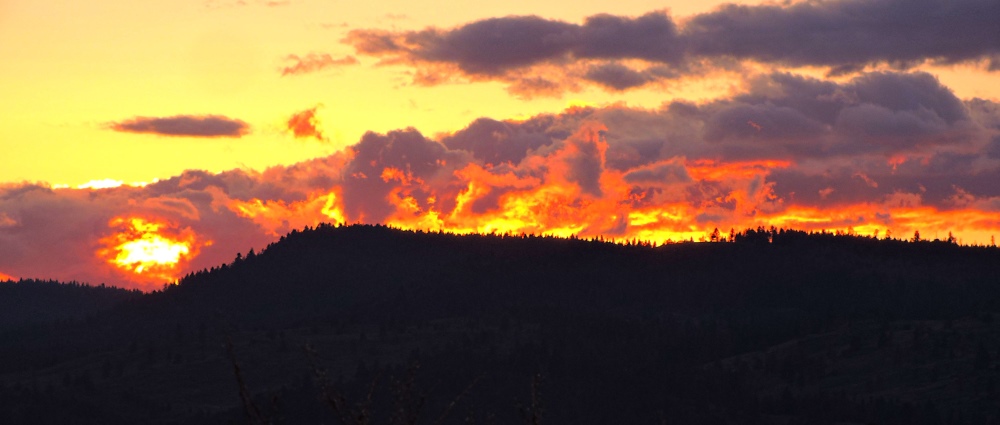 Mountaintop ForestAflame with Sunglow