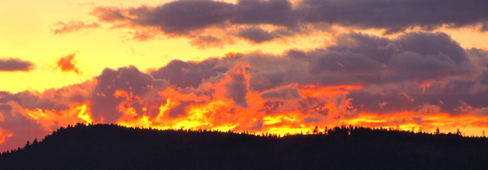 Forest Aflame by SunglowUnity Lake State Park