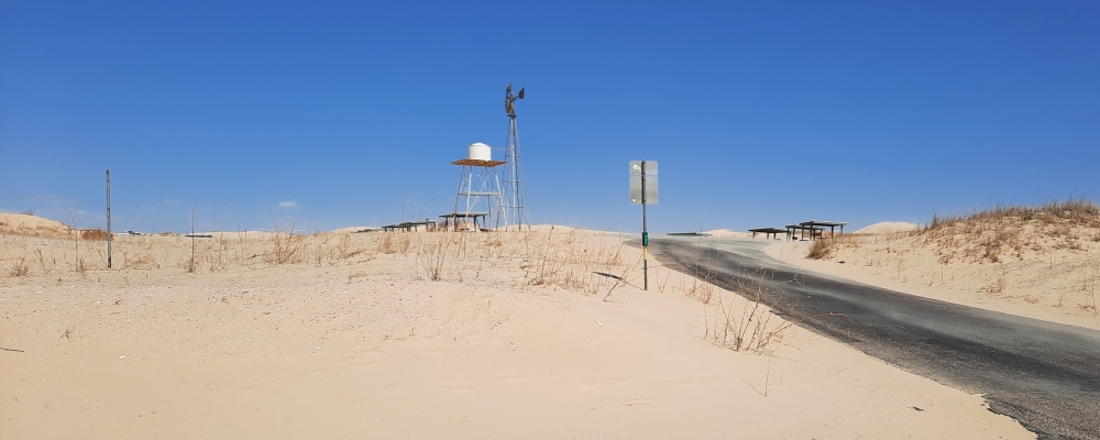 The SevensThe Monahans Sandhills SP Campground