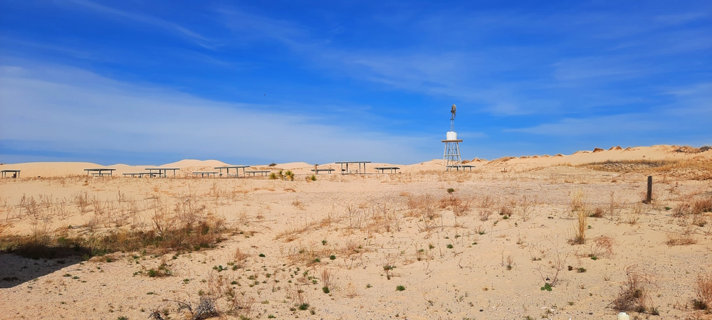 The SevensThe Monahans Sandhills SP Campground