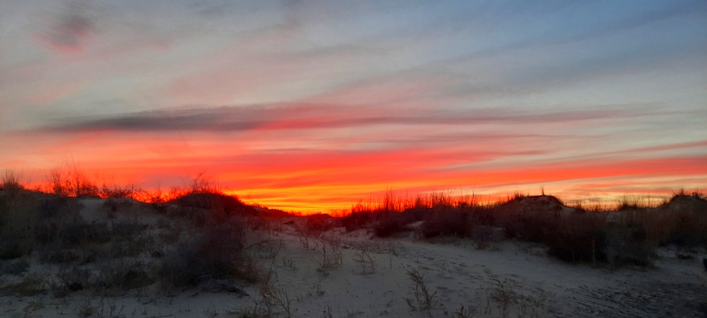 The SevensThe Monahans Sandhills SP Campground