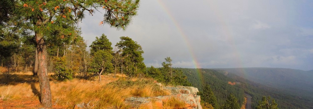 Mogollon Rim Recreationa Area