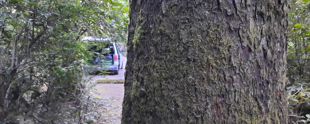 The EightsThe Jessie M. Honeyman Campground