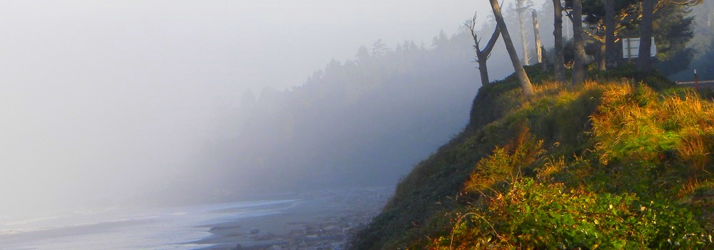 Olympic National Park