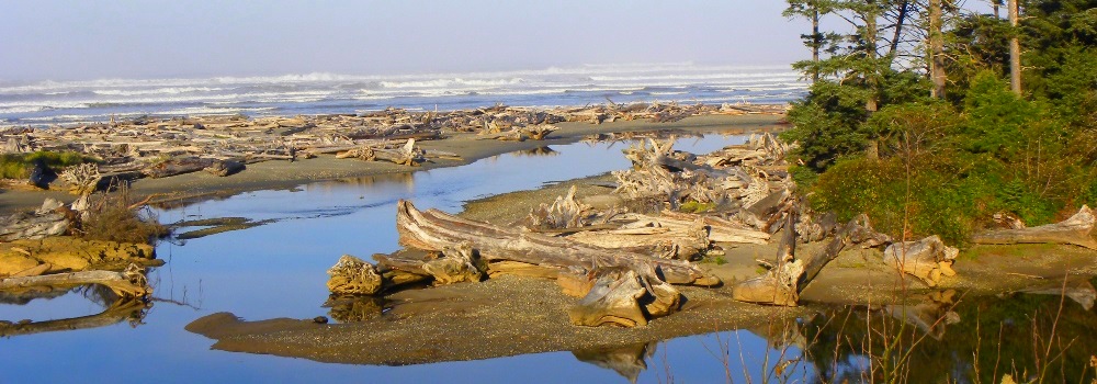Olympic National Park