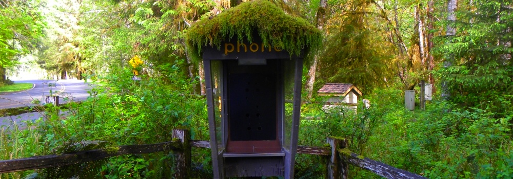 A Way&fnof;arers CampsitesOlympic National Park