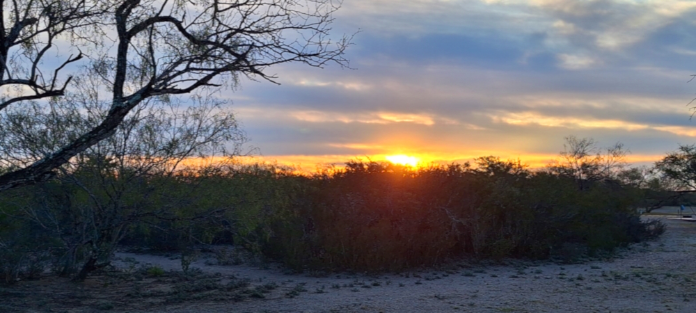 A Way&fnof;arers Campsites