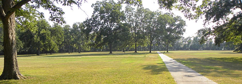 The Forts: ArkansasArkansas Posts