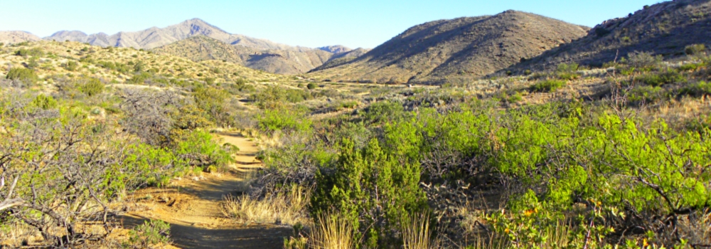 The Forts: ArizonaFort Bowie