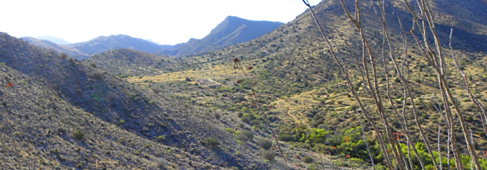 The Forts: ArizonaFort Bowie