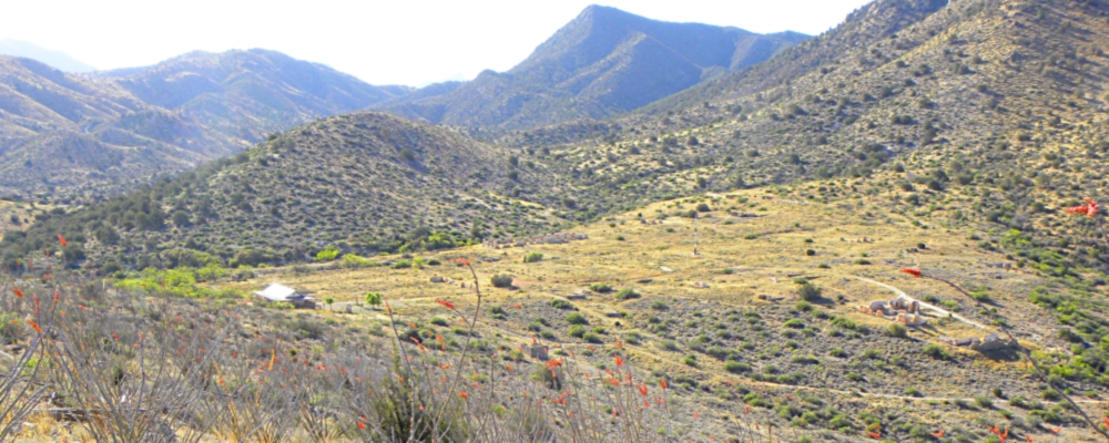 The Forts: ArizonaFort Bowie