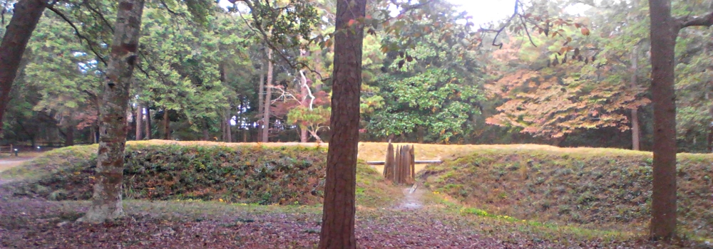 The FortsFort Raleigh