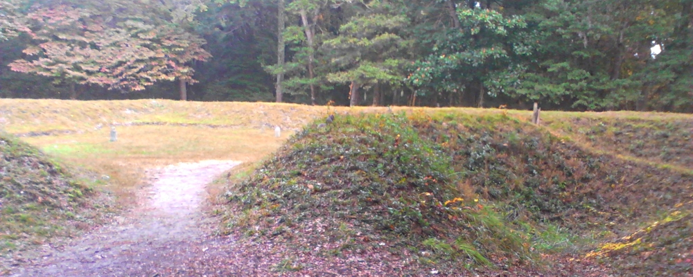 The FortsFort Raleigh