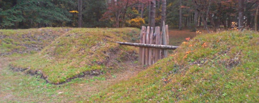 The FortsFort Raleigh