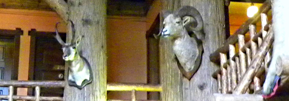 The Grand LodgesThe Lake McDonald Lodge