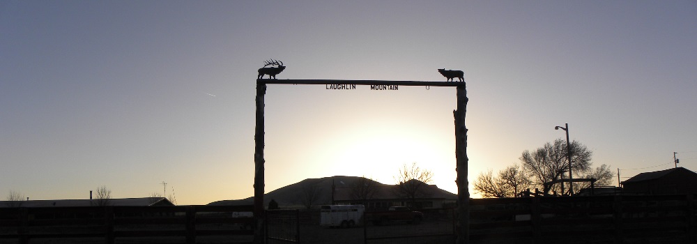 Laughlin Mountain Ranch, New Mexico