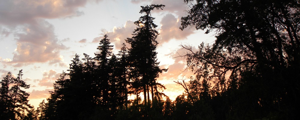 The July Sunglow at theOak Harbor Kingdom Hall