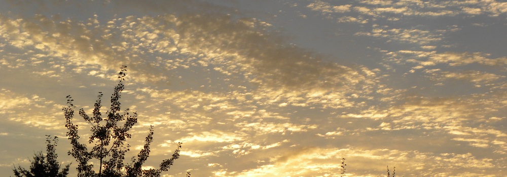 The August Sunglow at theOak Harbor Kingdom Hall