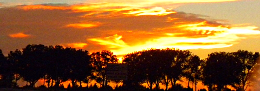 Summer SunglowWyoming Highway