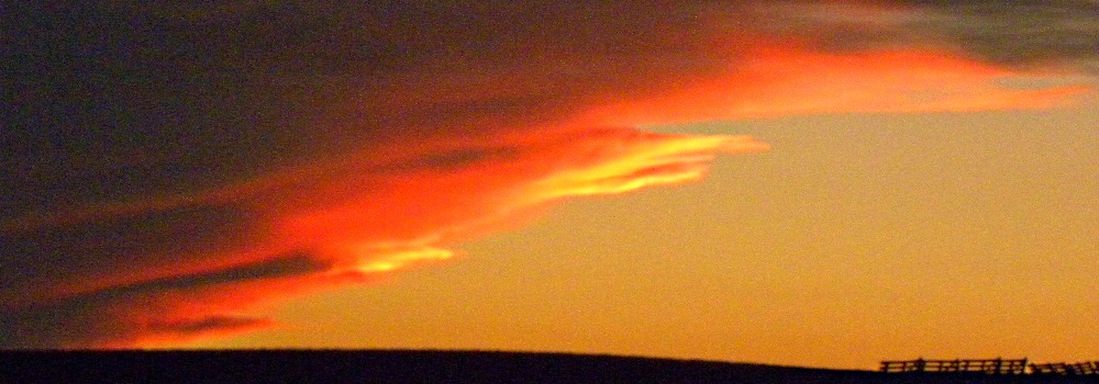 Summer SunglowWyoming Highway