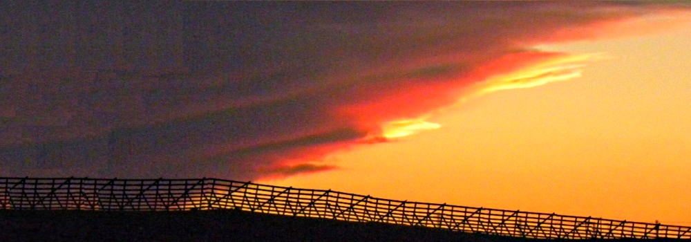 Summer SunglowWyoming Highway