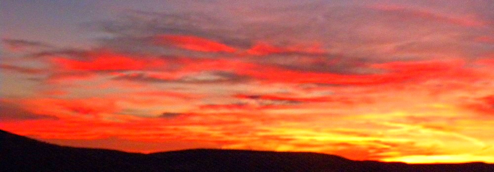 Summer SunglowOregon Highway