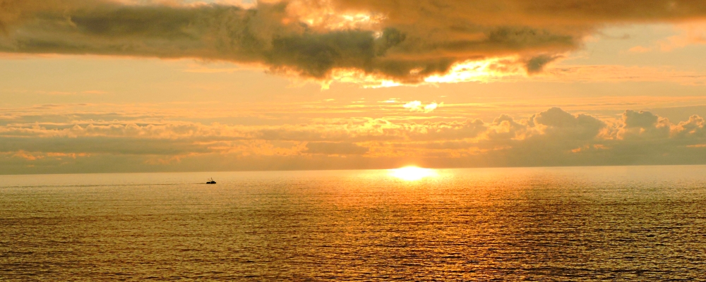 The 2019 JourneyAugust Sunglow