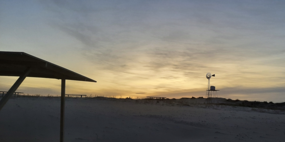 The March 2023 JourneyMonahans Sandhills State Park, TexasStill waiting for Warmer Weather