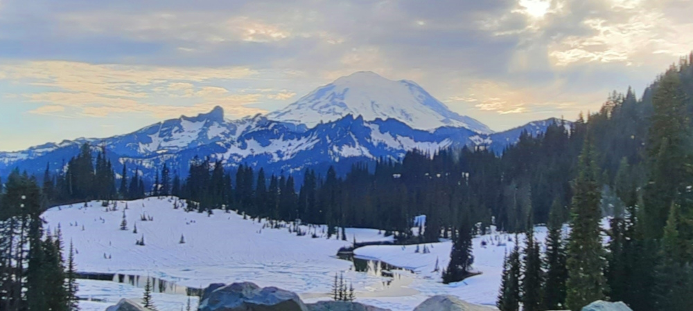The June 2023 JourneyMount Rainier National ParkArriving from Chinook Pass