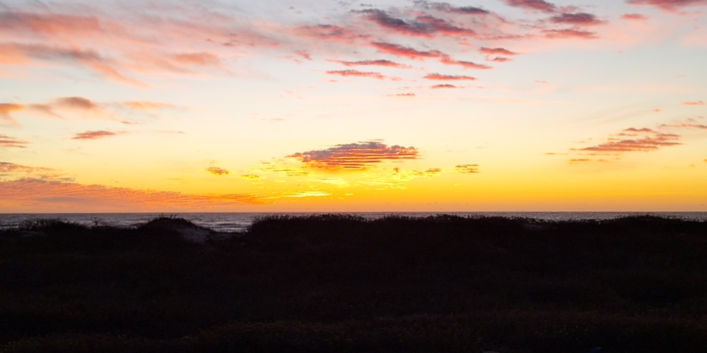 The 2023 Journey, TexasPadre Island National SeashoreMalaquite Campground, Space 13