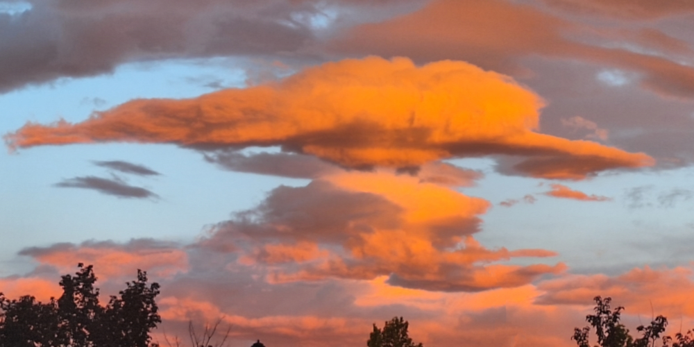 The 2024 Journey: Northbound JourneySpring Time Journey: Fort Collins, Colorado