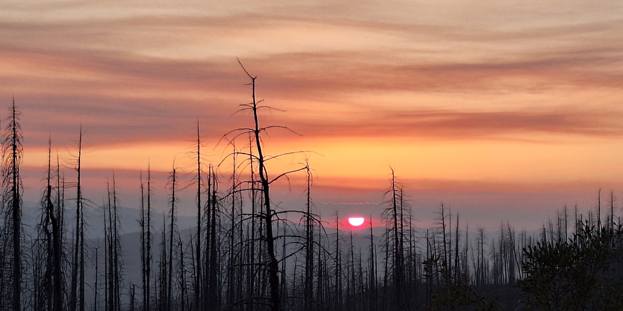 The Mountain Passage, The NonpareilsThe Dayspring, The SunglowThe September 2025 Journey