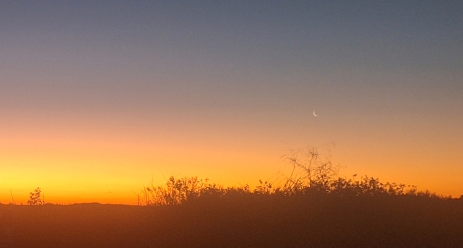 The Mountain Passage, The NonpareilsThe Dayspring, The SunglowThe February 2026 Journey