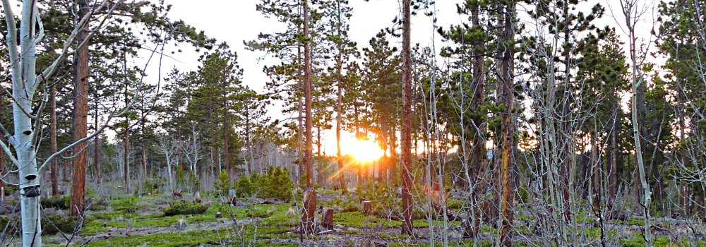 The May, 2020 Suntouch