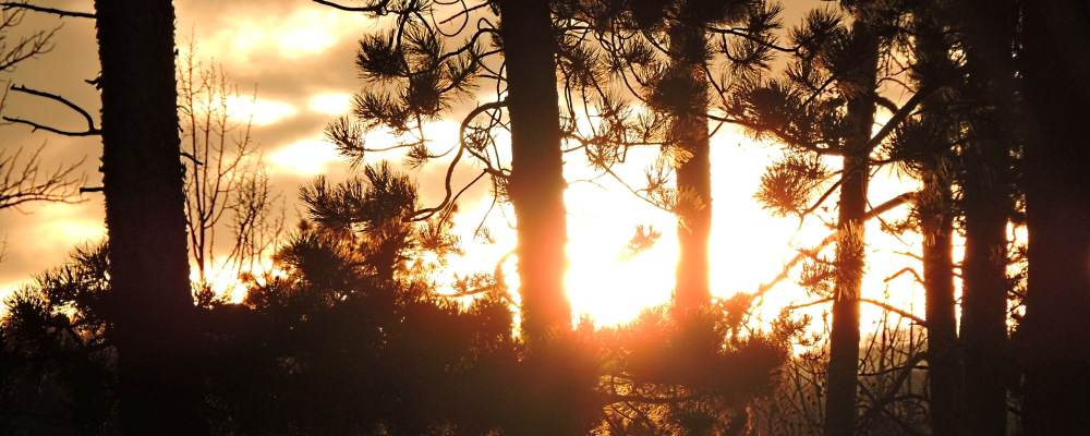 The May, 2020 Suntouch