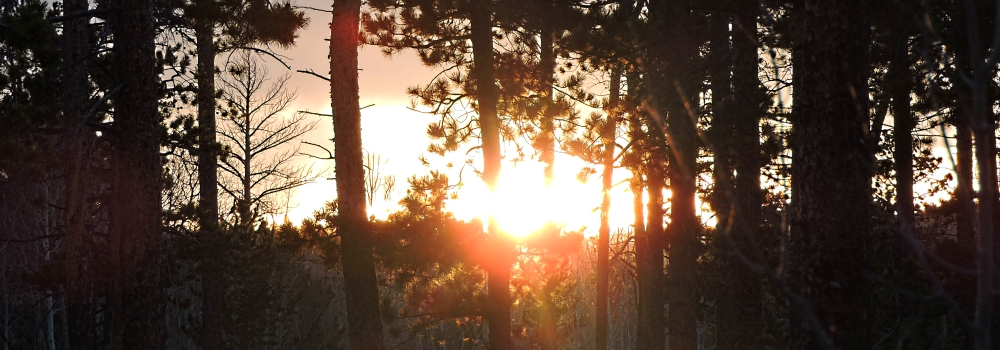 The May, 2020 Suntouch