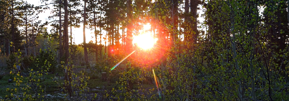 The May, 2020 Suntouch